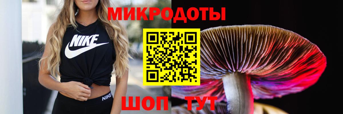 Галлюциногенные грибы мицелий Шахты